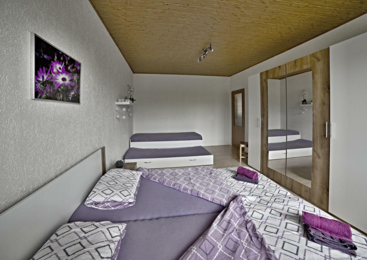 Apartmany 2+1 U Klinovce Kovářská Екстериор снимка